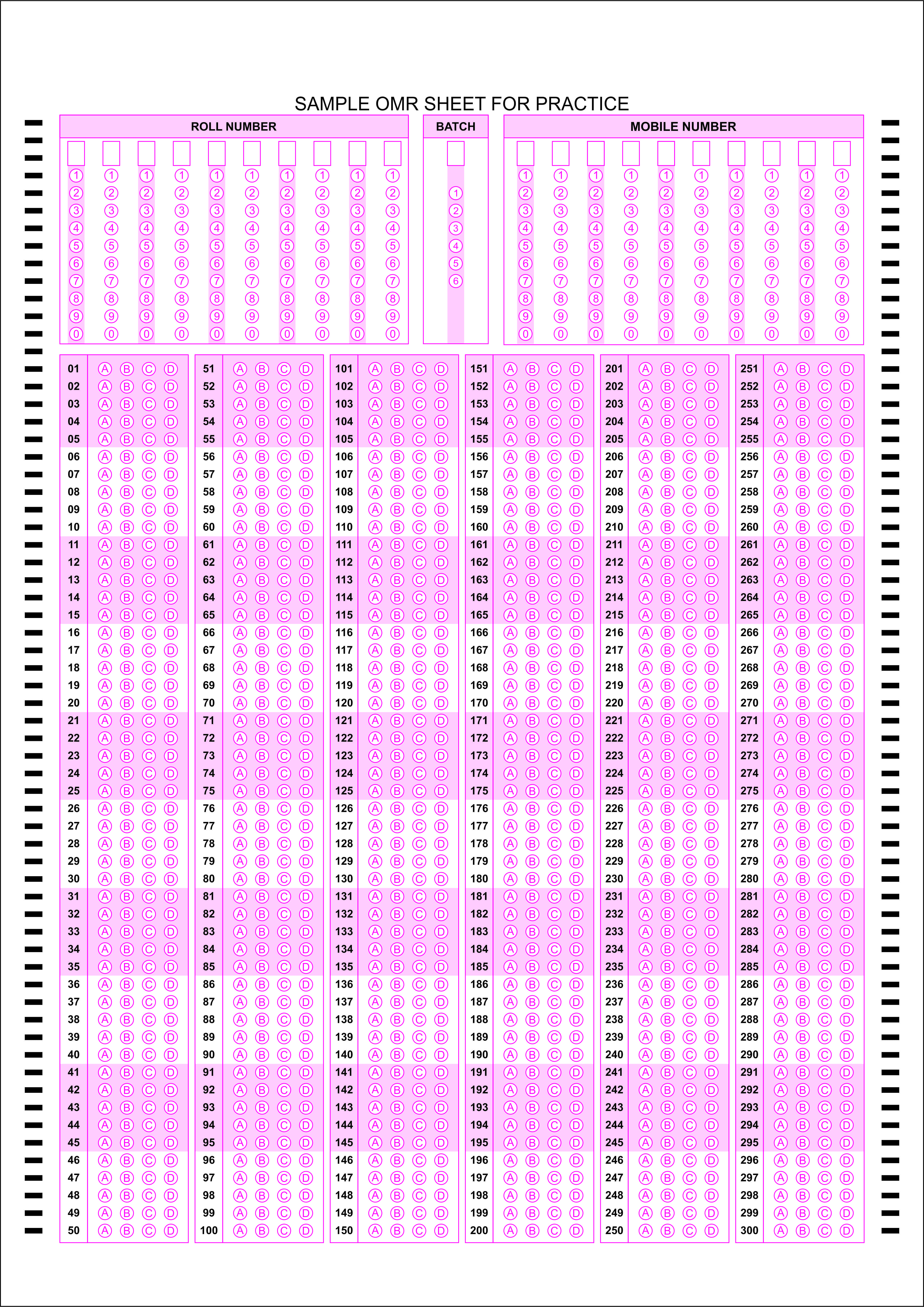 A4-300-mcq-omr-sheet image